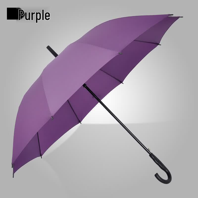 Paradise Oversized Automatic Business Umbrella