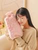 2025 Hot Water Bag Winter Warm Bed Warm Bed Cover Foot Handy Gadget Large Stuffed Irrigation Type Hot-Water Bag Water Injection