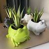 Froschförmiger Topf 3D-gedruckter Pflanztopf Innen Außen Tierform Sukkulenten Kaktus Kräuter Pflanzen Blumenbehälter Haus Balkon Gartendekoration