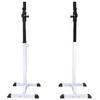 VidaXL Support d'Haltères avec Jeu d'Haltères et de Poids 60,5 kg Entraînement 275349
