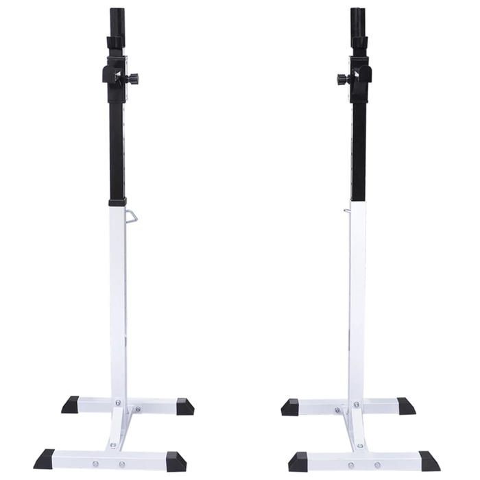 VidaXL Support d'Haltères avec Jeu d'Haltères et de Poids 60,5 kg Entraînement 275349