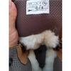 9517 Winter Frontier Warm Wool Snow Boots