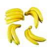 Plastic PU Banana Model for Display and Teaching Props