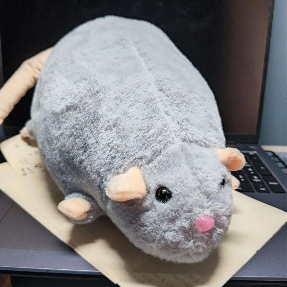 Cute Oversized Big Mouse Plush Pillow, Simulation Cartoon Rat Doll 35/50/90cm, Birthday Gift