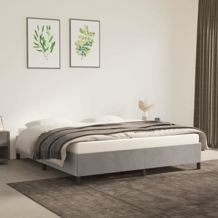 VidaXL Cadre de lit Gris clair 160x200 cm Velours347330