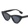 Vintage Fashion Small Frame Cat Eye Sunglasses Women For Men Sun Glasses Punk Luxury Brand Designer Hip Hop Sexy Lady Eyeglasses