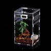 Acryl Reptilien Zuchtbox Transparentes Terrarium Habitat Insekt Spinne Eidechse Skorpion Futterkäfig Baumbewohnendes Gehege