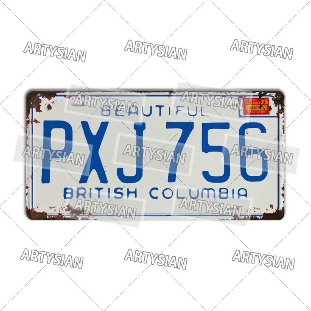 

State License Plate Metal Car Decor 15x30cm
