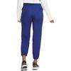 Nike ACG Knitted Sweatpants Women's CD6801-455