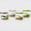 Mini Square/Round Fish Tank Realistic Glass Decor for Dollhouse Display Captivating Miniature for DIY Crafts Ornaments
