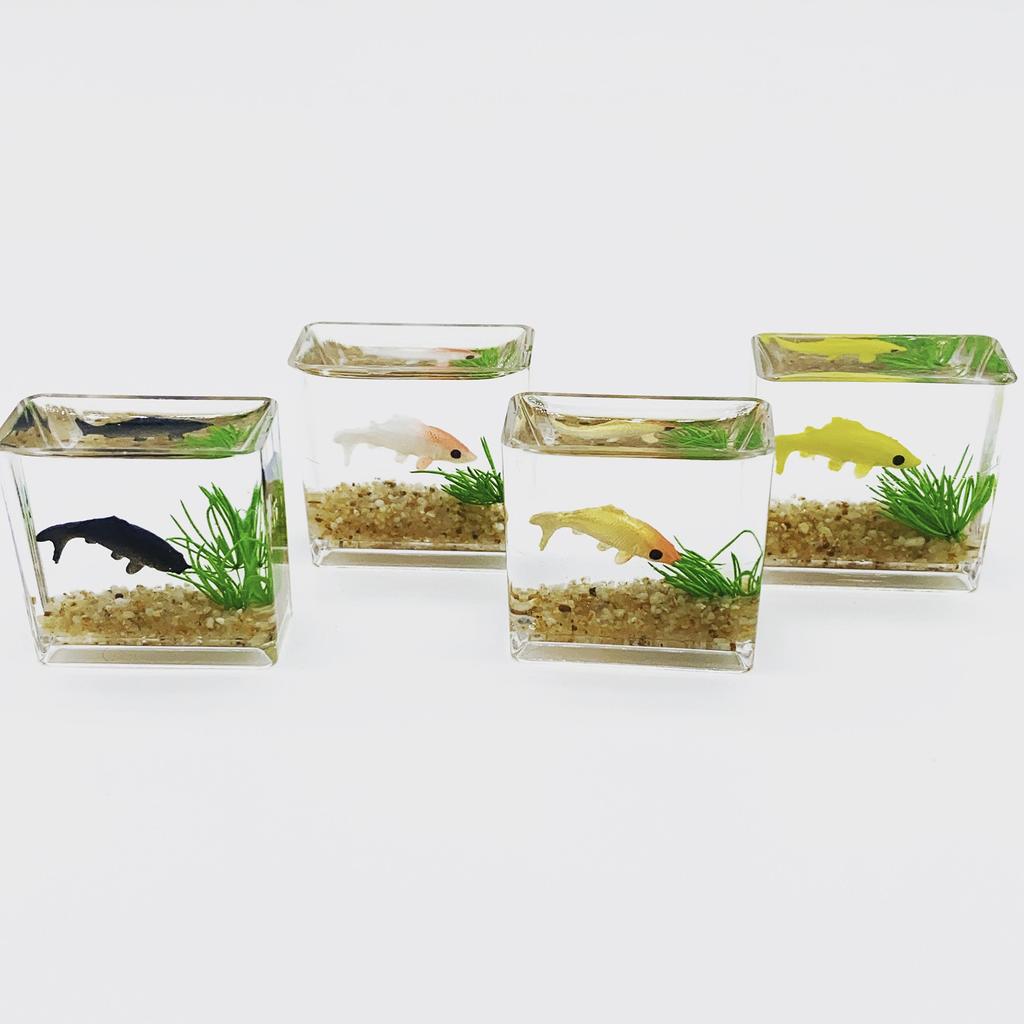 Mini Square/Round Fish Tank Realistic Glass Decor for Dollhouse Display Captivating Miniature for DIY Crafts Ornaments