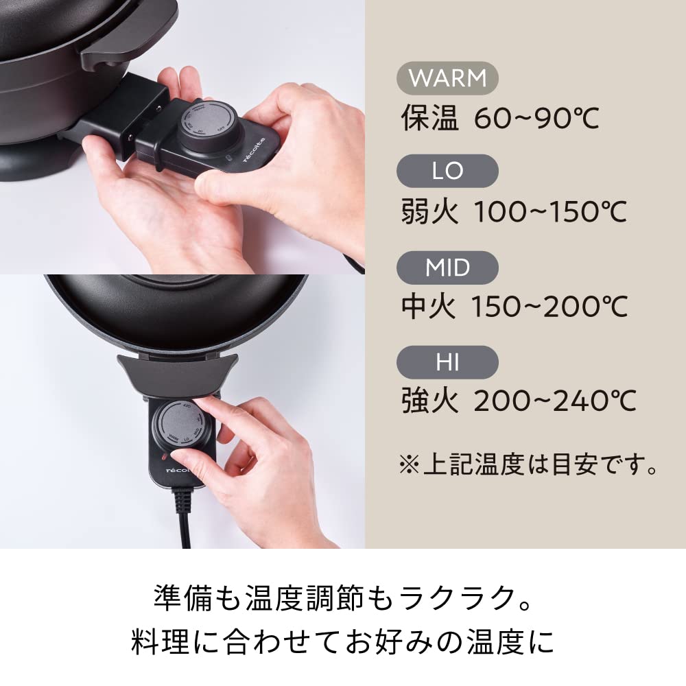 Recolte Electric Pot, 5-in-1 Function: Boil, Stir-fry, Cook Rice, Steam, Deep Fry. Suitable for 1-2 people. 20cm pot size. 500W low power