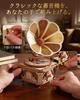 ROKR 3D Wooden Phonograph Music Box with Automatic No Batteries Interior Atmosphere Craft Time Movable Musical Educational Suitable for Middle Gift