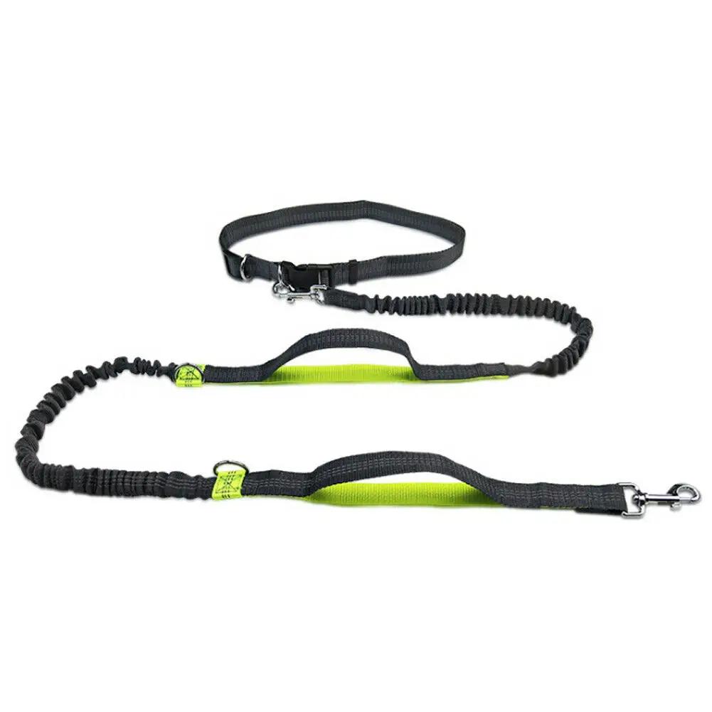 Reflective Leash Traction Pet Walking Running Elastic Adjustable Dog Leash Waist Belt Chest Strap Traction Rope Dog Accessories