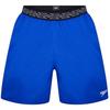 Speedo Mens Hyper Boom Plain Swim Shorts