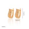 Gold Multi-Style Zircon Hoop Earrings for Women