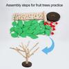 Dřevěná stavebnice strom hračka jemná motorika koordinace ruka-oko trénink batolata vzdělávací žlutozelené listy strom montážní hračka se základnou