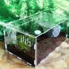 Snakes Container Lizard Insect Hatching Terrariums Breeding Box Reptile Incubator Insect Supplies