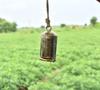 Handmade Iron Cow Bells with Gold Finish, Decorative Hanging Bells for Doors, Entryways, Meditation, Mindfulness, and Home Decor.