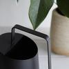 KEINN 800ml Watering Stainless Indoor Gardening Watering for Easy To 800ML Can, Steel, Stylish, Tool, Can, Houseplants, Carry, (Black)