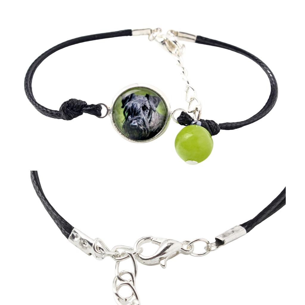 Cesky Terrier, Czech Terrier, Bohemian Terrier – Bracelet in a box with your photo, feminine jewelry | Art-Dog