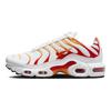 Air Max Plus