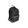 Adidas Polyester Backpack Regular Unisex Black Adidas DT2610