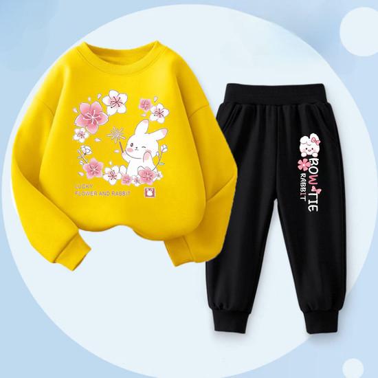 Cute Rabbit Printed Baby Girls Spring New Style Hoodies Sets Children's Sweatshirt Sweatpant Two Piece Suit Kids Outdoor Outfits