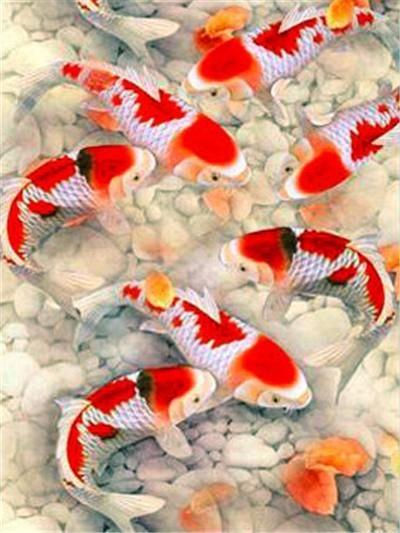 Diamond Painting Fish Picture Of Rhinestones Mosaic Diamond Embroidery Full Round Animals Cross Stitich Home Decor