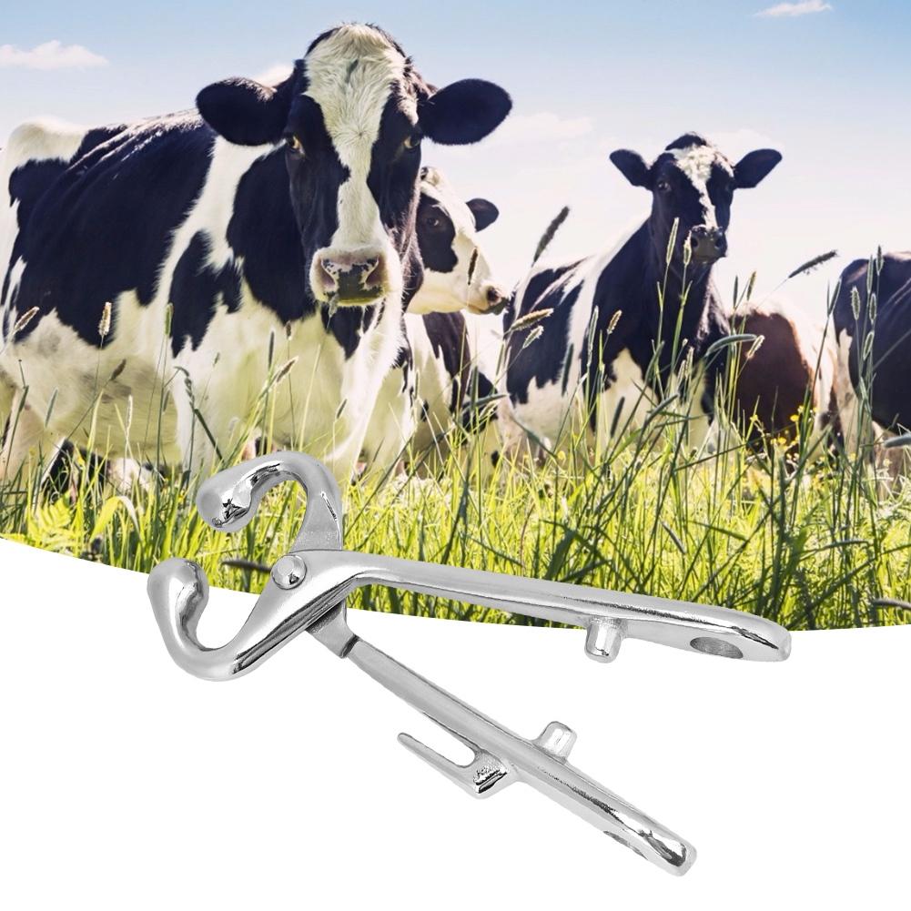Carbon Steel Cow Nose Ring Pliers Bull Cattle Bovine Clip Pulling Equipment Tool