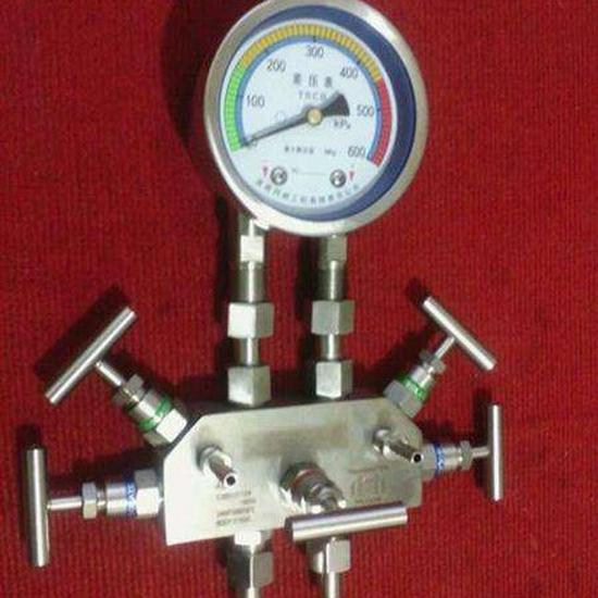 Stainless Steel Differential Pressure Gauge with Five-Valve Manifold