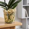 High Transparency Pet Material Planter Clear Orchid Pot with Drainage Holes, Plastic Phalaenopsis Planter, Root Large Size Nursery Pots for