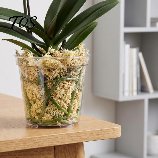 High Transparency Pet Material Planter Clear Orchid Pot with Drainage Holes, Plastic Phalaenopsis Planter, Root Large Size Nursery Pots for