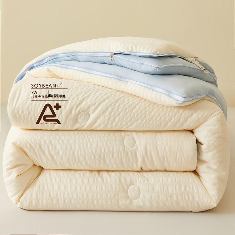 Pugu Soy Fiber All-Season Duo Comforter Set