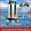 Bomba Submersível DC Universal 48-72V para Veículos Elétricos e Irrigação de Terras Agrícolas, Aço Inoxidável.