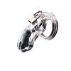 2026 New Model Chastity Cage: Sissy Chastity Lock—A Valentine's Day Gift for Adult Couples and Partners