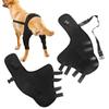 Adjustable Dog Knee Brace Comfortable Dog Leg Support Brace Pet Joint Protectors  Wound Protection