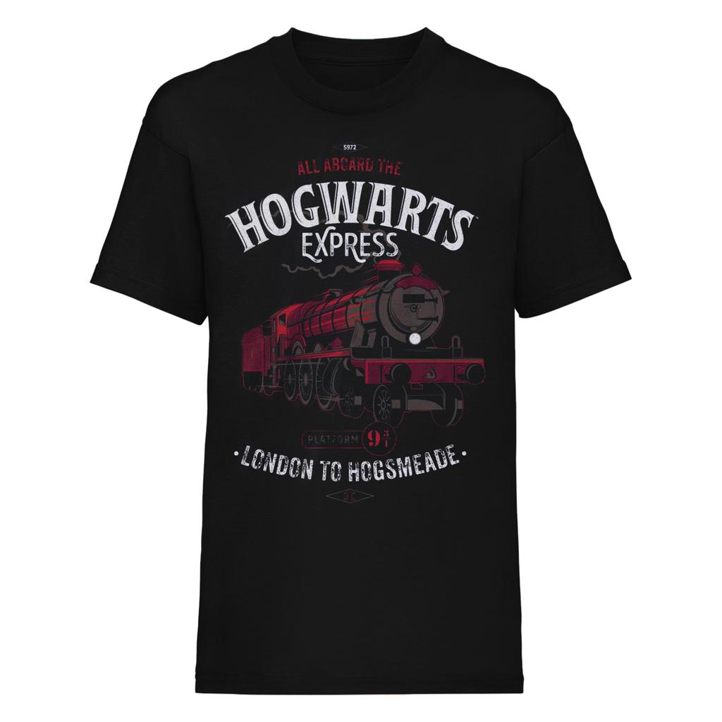 HARRY POTTER Unisex Adult All Aboard T-Shirt