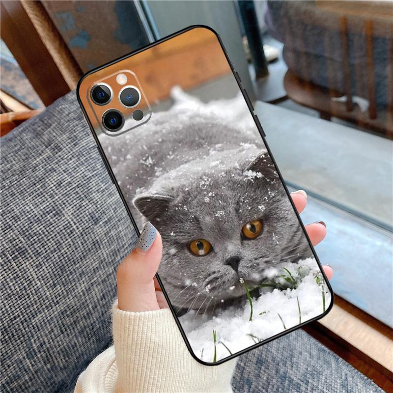 British Shorthair Cat Phone Case For iPhone 16 15 14 13 11 12 Pro Max 12 13 mini XR 15 16 Plus 16e Cover Shell