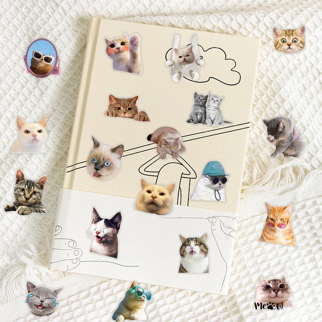 50pc/set Sweet INS Kitten Scrapbook Sticker Transparent Kawaii Cat Journaling Background Sticker DIY Decor Guitar Laptop Sticker