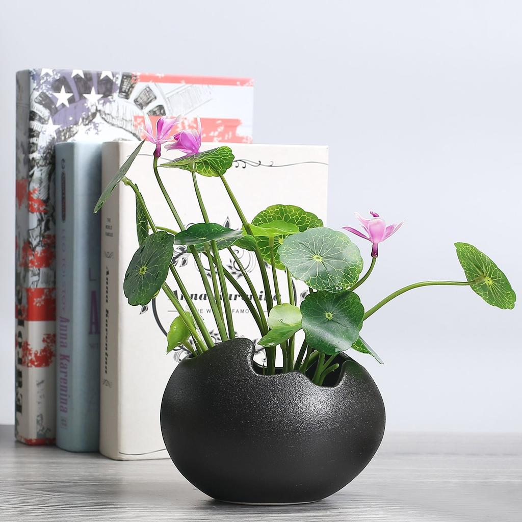 TOSSOW Ceramic Flower for and Stylish Mini Gift Pot, Egg-Shaped, Succulents, Cacti, Herbs, More, Planter, Black,