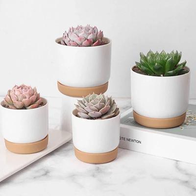 Decoración para el hogar
 – Macetas decorativas