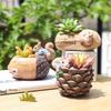 South Courtyard Cartoon Nut Garden Resin Succulent Pot – Creative Home and Balcony Decor