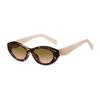Cross Border Cat Eye Sunglasses PA Same Style Personalized Spicy European American Fashion Glasses 9069 UV