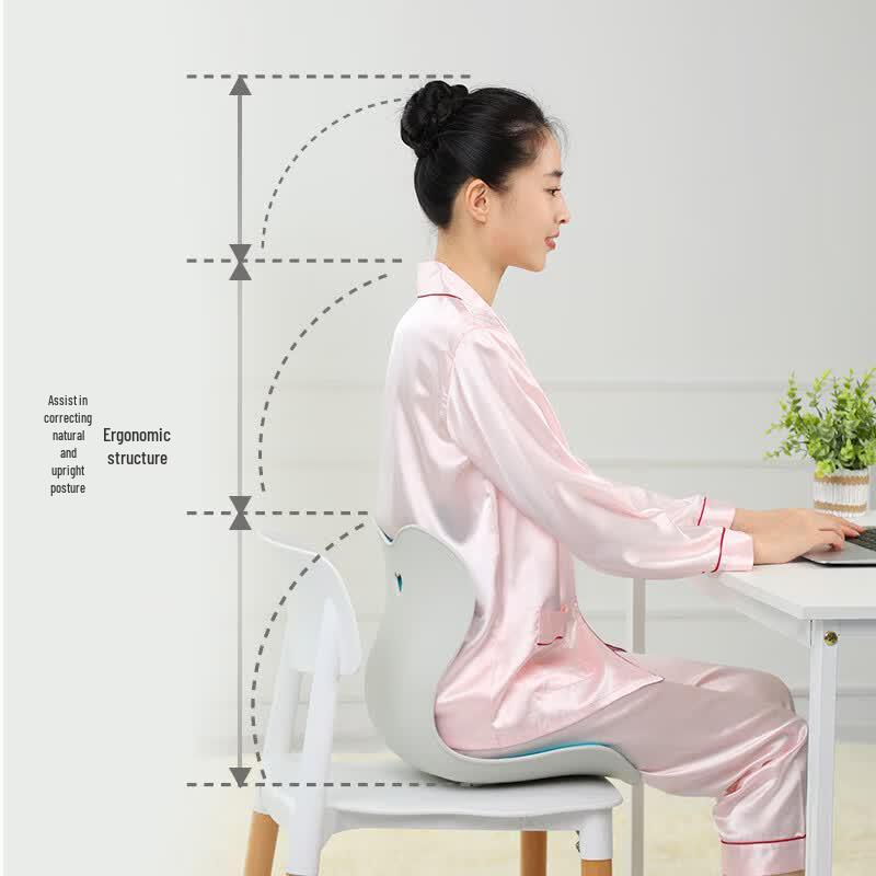 Yunyao Ergonomic Lumbar Support Posture Chair