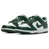 Nike Dunk Low GS White Black Kids Lifestyle Sneakers CW1590-102