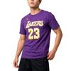 Nike NBA Statement Los Angeles Lakers Essentials T-Shirt 'Field Purple' Men's HV6272-504
