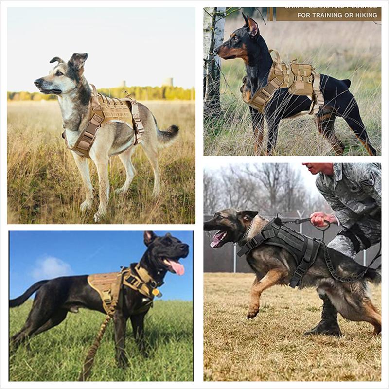 Tactisch Militair Vest voor Huisdieren Buiten Trainingsvest Hondentuig en Lijn Set Met Halsband Voor Middelgrote Grote Honden Duitse Herder