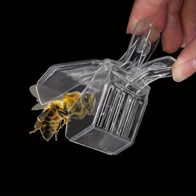 Piège à Reine Abeille en Plastique Transparent, Attrape Bourdons Équipement Apicole, Piège à Insectes Portable Durable, Convient pour Abeilles Blattes