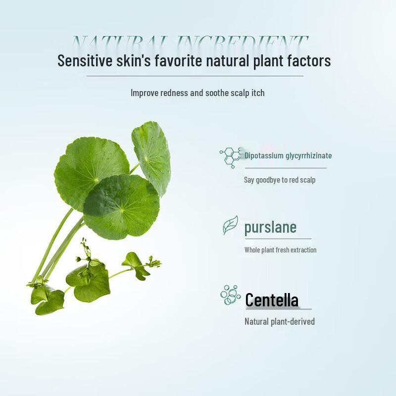 Chando Guardian Series Hair & Body Care Gift Set